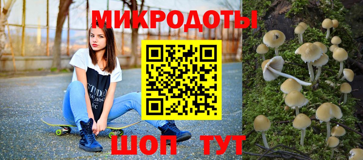Галлюциногенные грибы Psilocybe Городец