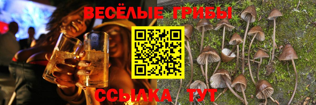Городец  где найти наркотики  Вход с VPN  Псилоцибиновые грибы Psilocybe 