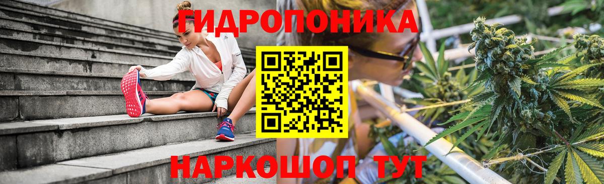 Городец  Канабис SATIVA & INDICA  Каннабис LSD WEED  Бошки Шишки Ganja  Вход с VPN  Шишки марихуана гибрид 